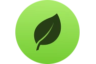MongoDB
